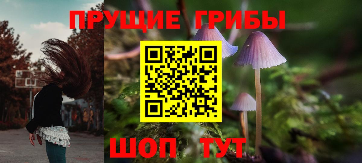 Галлюциногенные грибы ЛСД Арзамас